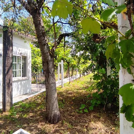 Villa Morin Grey Casa En El Corazon De La Ribeira Sacra à Monforte De Lemos Extérieur photo