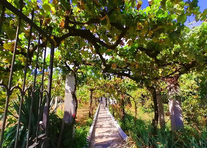 Morin Grey Casa En El Corazon De La Ribeira Sacra