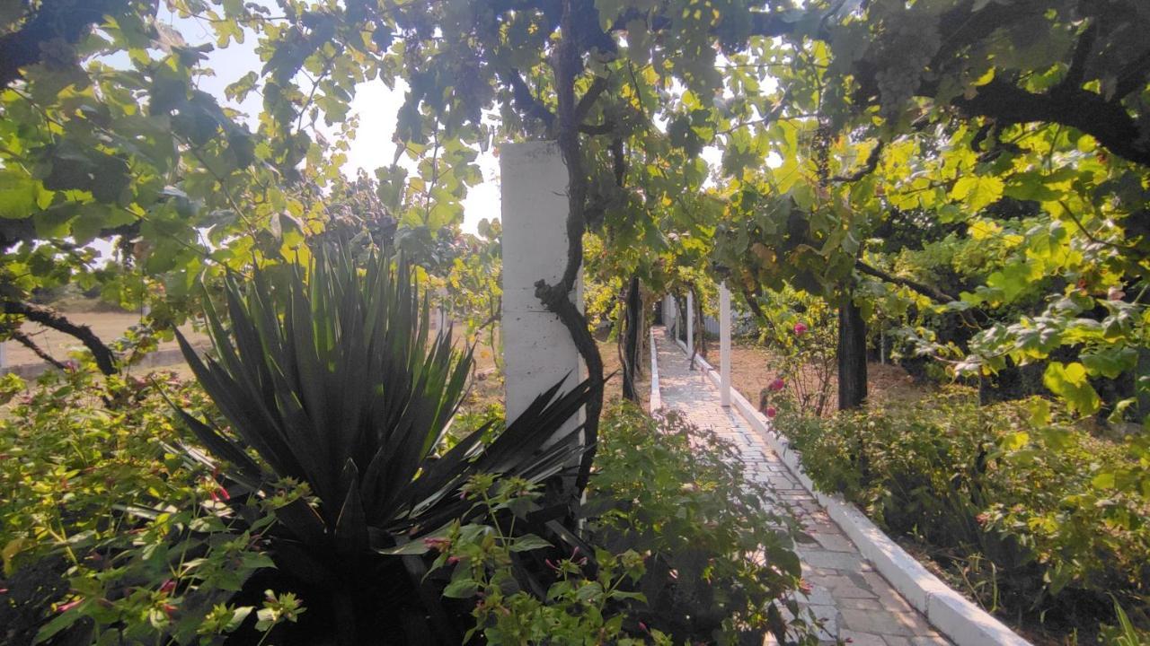 Morin Grey Casa En El Corazon De La Ribeira Sacra