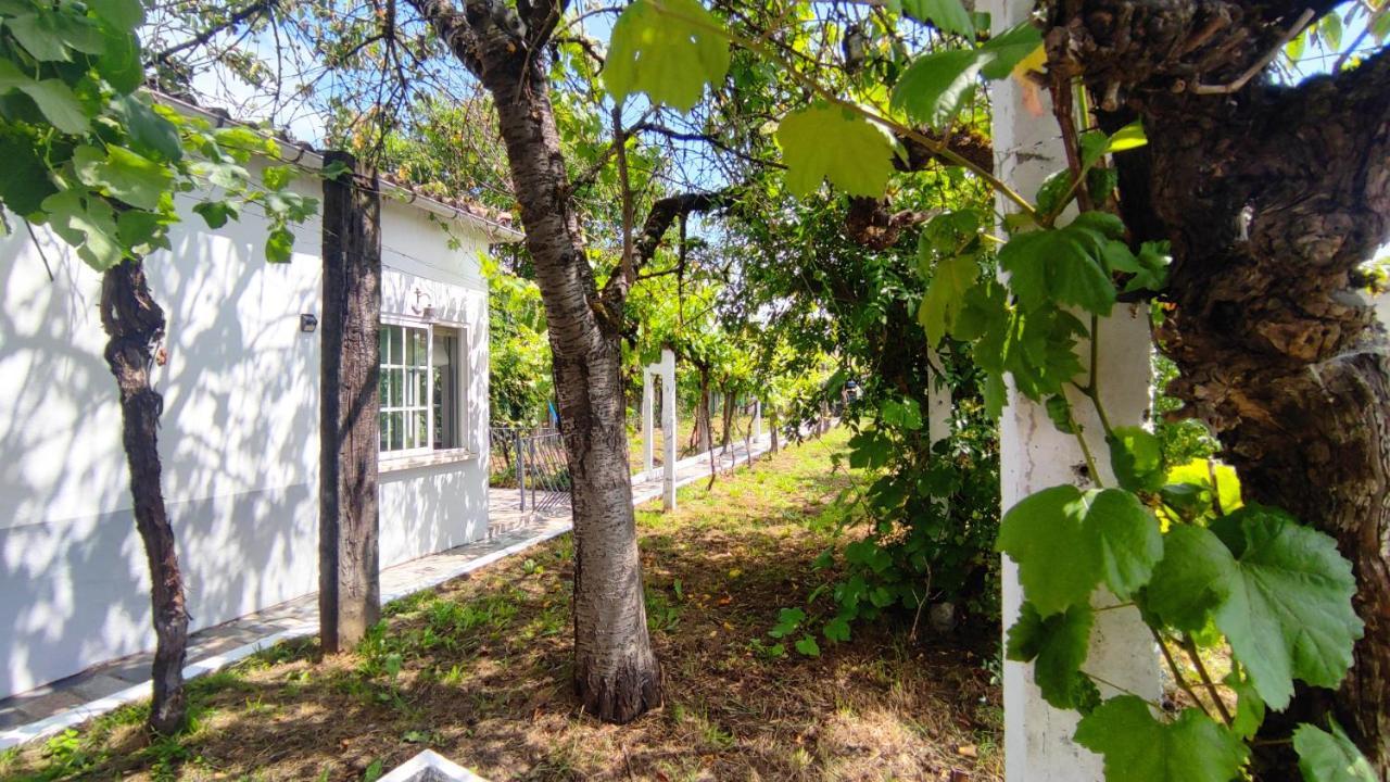 Holiday home Morin Grey Casa En El Corazon De La Ribeira Sacra